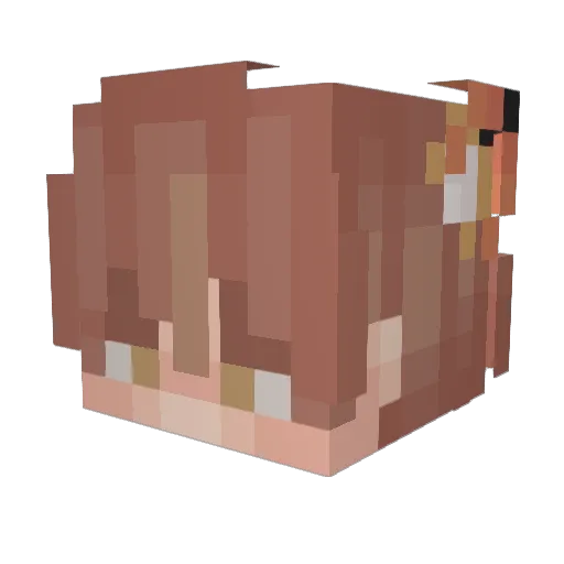 RottenPups Minecraft avatar head, 3D render