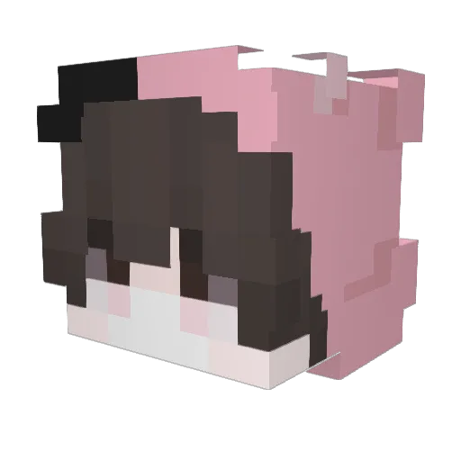 Rottenessence Minecraft avatar head, 3D render