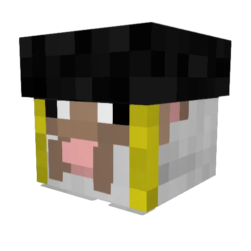 RottingApple769 Minecraft avatar head, 3D render