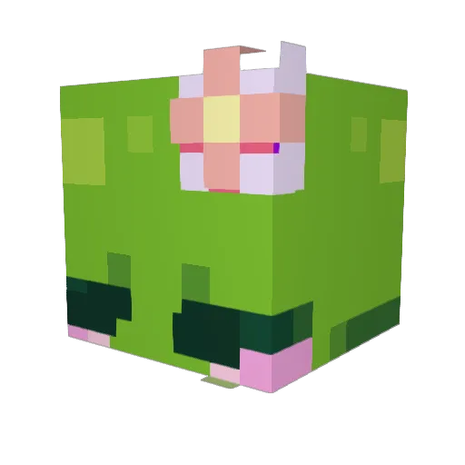 RottingRed Minecraft avatar head, 3D render