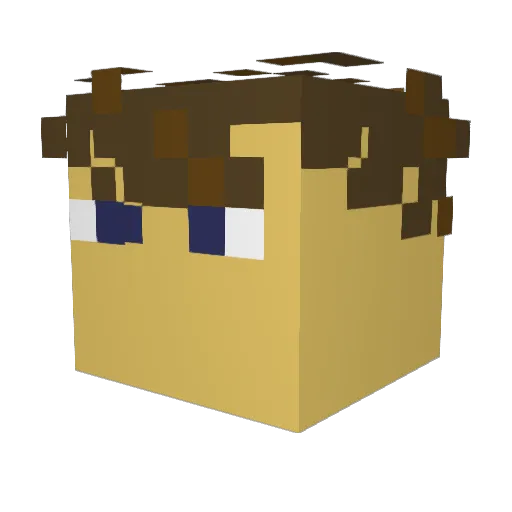 Rotto2006 Minecraft avatar head, 3D render