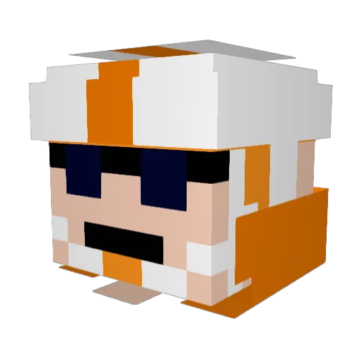 RotundPidgeon Minecraft avatar head, 3D render
