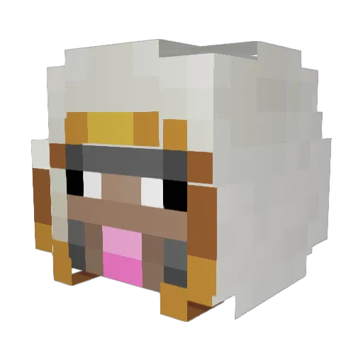 Rouge2456 Minecraft avatar head, 3D render
