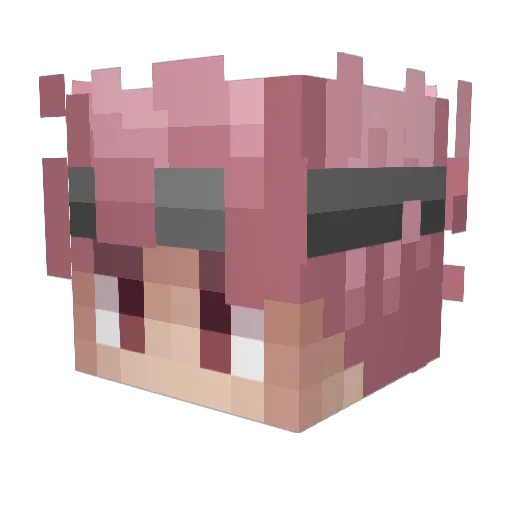 RougePov Minecraft avatar head, 3D render