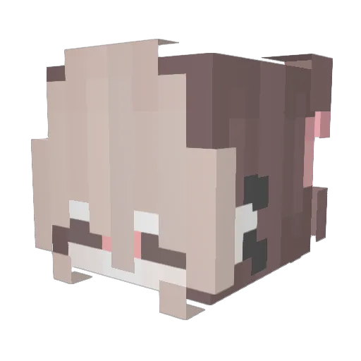 RougePup Minecraft avatar head, 3D render