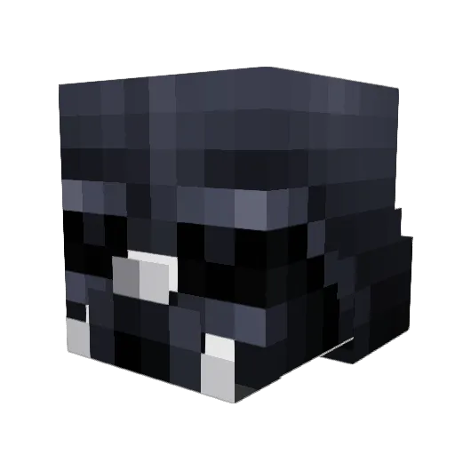 Rougevader06 Minecraft avatar head, 3D render
