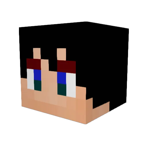 Roukooshi Minecraft avatar head, 3D render