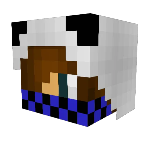 Roummix Minecraft avatar head, 3D render