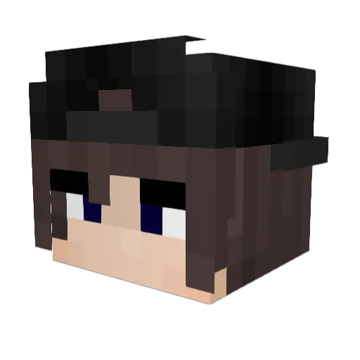 Roupa Minecraft avatar head, 3D render