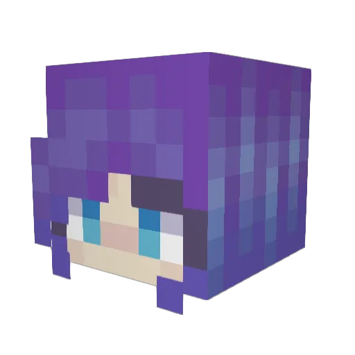 Rous_18 Minecraft avatar head, 3D render