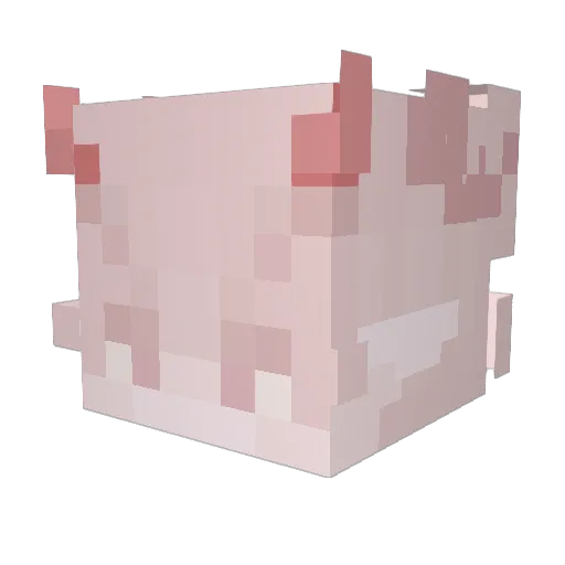 Roustg Minecraft avatar head, 3D render