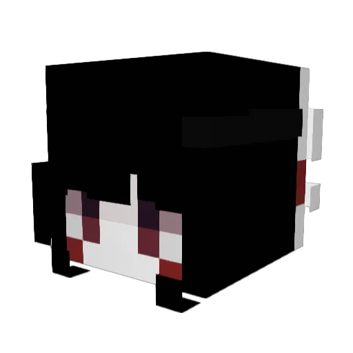 RoutersXO Minecraft avatar head, 3D render