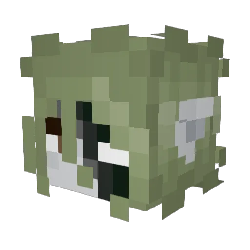 RouvaKettu Minecraft avatar head, 3D render