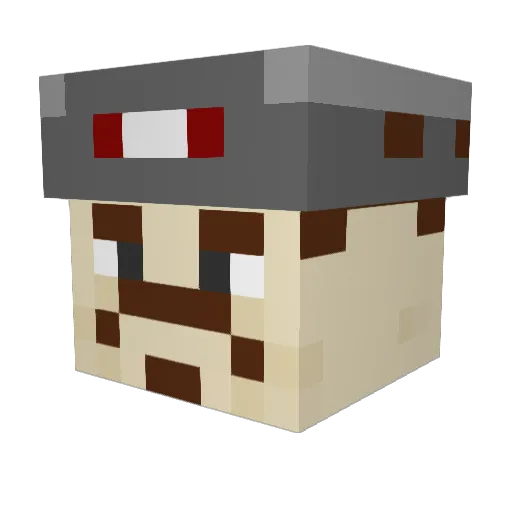 Rovallilrov Minecraft avatar head, 3D render