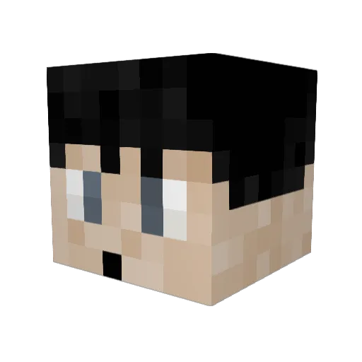Rovbe Minecraft avatar head, 3D render