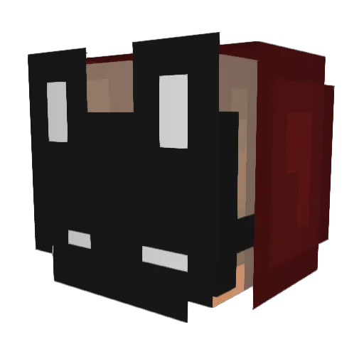 Rove456 Minecraft avatar head, 3D render