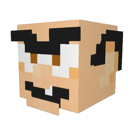 Rover18 Minecraft avatar head, 3D render