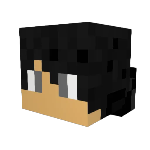 RoverWill Minecraft avatar head, 3D render