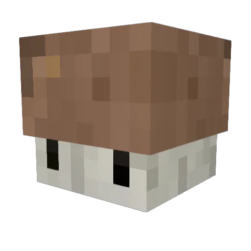 RovingPogue Minecraft avatar head, 3D render