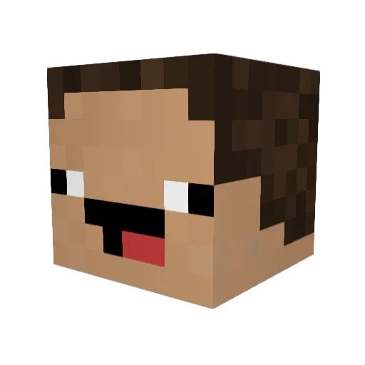 Row011 Minecraft avatar head, 3D render