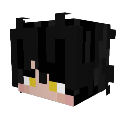 Rowan911 Minecraft avatar head, 3D render