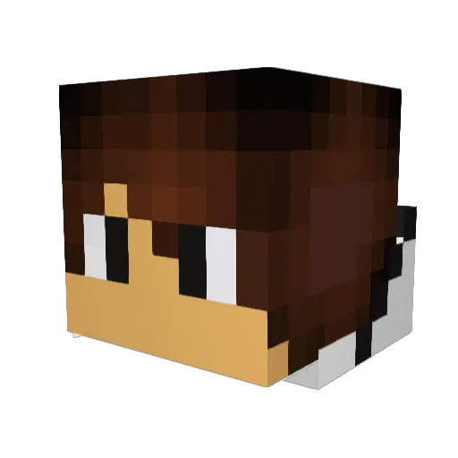 RowanDude123 Minecraft avatar head, 3D render