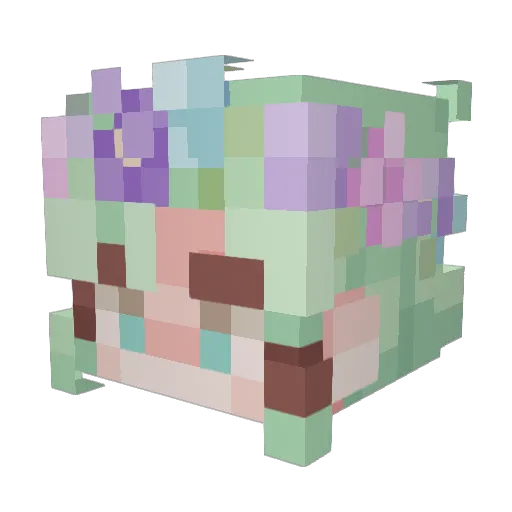 RowanGamer Minecraft avatar head, 3D render