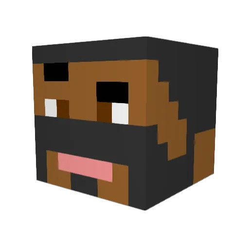 RowanMC Minecraft avatar head, 3D render