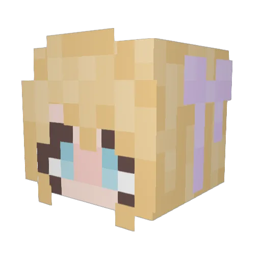 RowanOfTheBeans Minecraft avatar head, 3D render