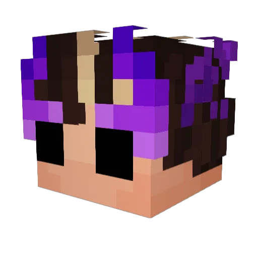 RowanRaccoon Minecraft avatar head, 3D render