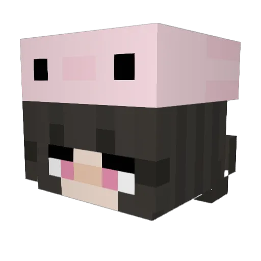 RowanTheHumble Minecraft avatar head, 3D render