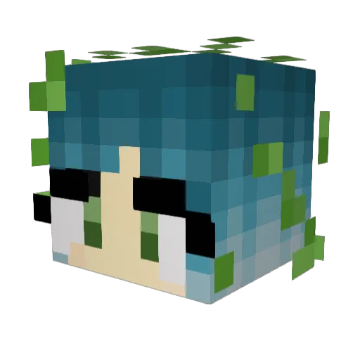 Rowan_Brown Minecraft avatar head, 3D render