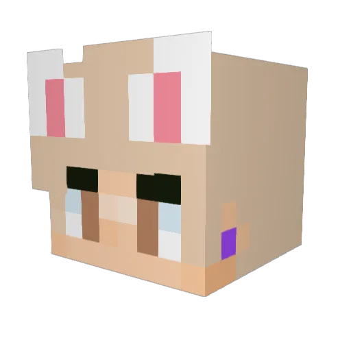 Rowan_CW Minecraft avatar head, 3D render