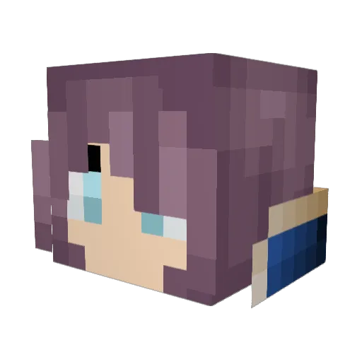 Rowan_Night Minecraft avatar head, 3D render