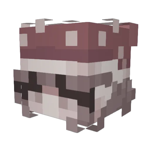 Rowan_lmao Minecraft avatar head, 3D render