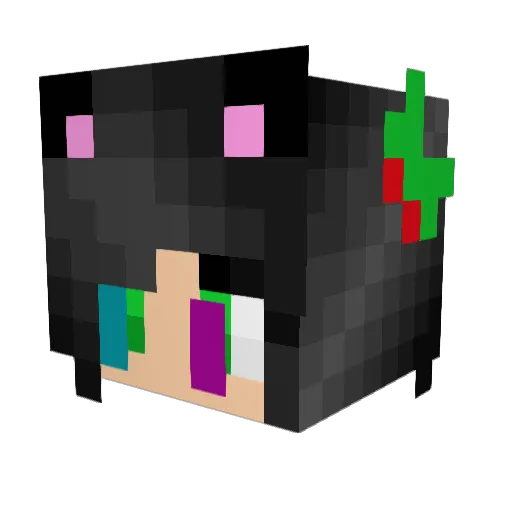 Rowanberry554 Minecraft avatar head, 3D render