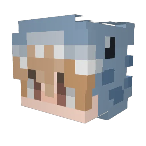 Rowaze Minecraft avatar head, 3D render