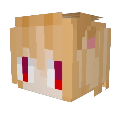 Rowbotts Minecraft avatar head, 3D render