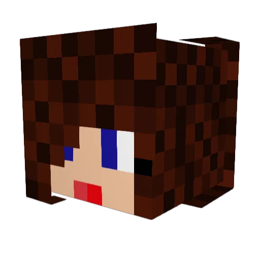 RowdyBunnyBear Minecraft avatar head, 3D render