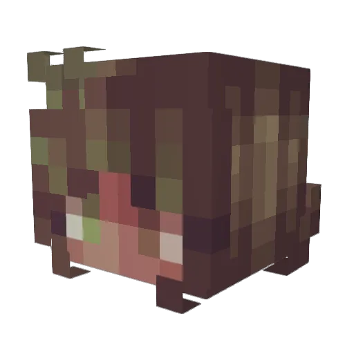 RowdyIndiana Minecraft avatar head, 3D render