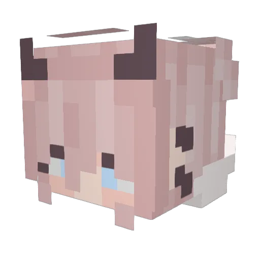 RowdyScooter Minecraft avatar head, 3D render