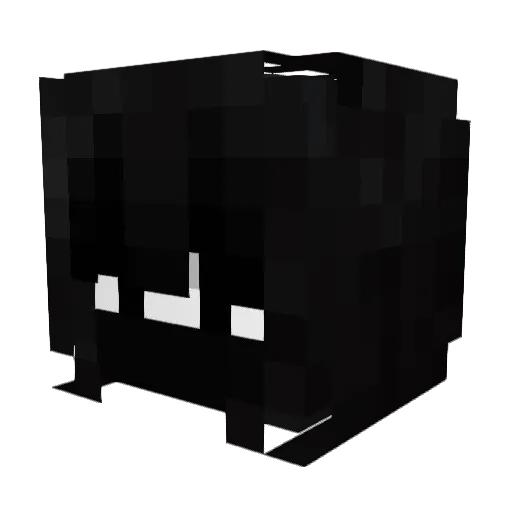 Rowen25 Minecraft avatar head, 3D render