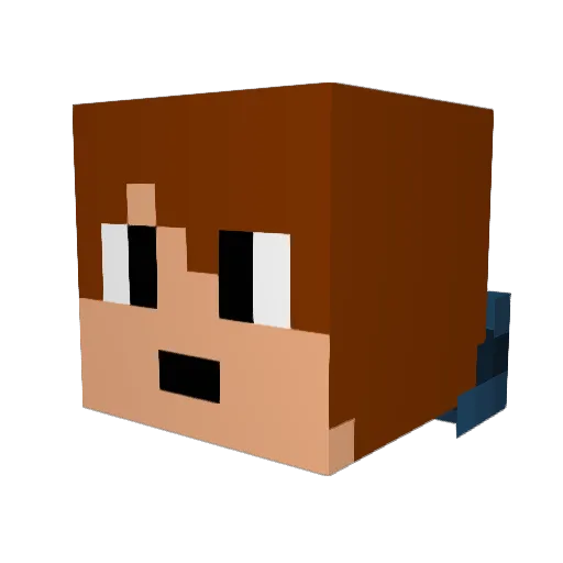 Rowi98 Minecraft avatar head, 3D render