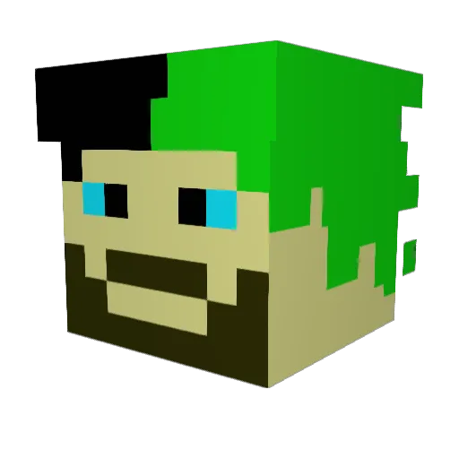Rowinwett Minecraft avatar head, 3D render