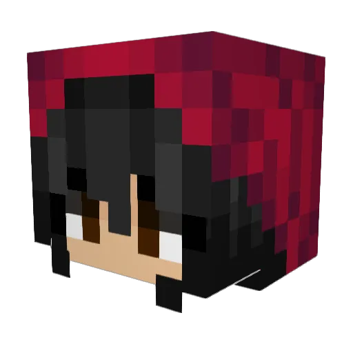 Rowlach Minecraft avatar head, 3D render