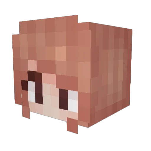 Rowlyn Minecraft avatar head, 3D render