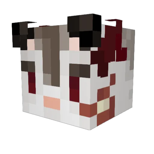 Rowod Minecraft avatar head, 3D render