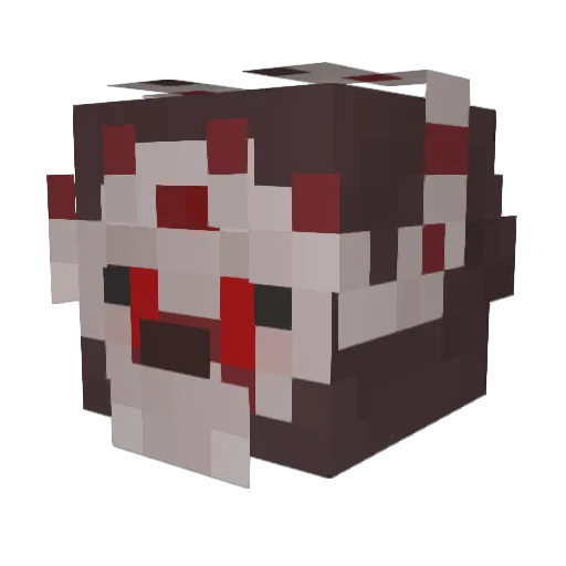 Rowyn2053 Minecraft avatar head, 3D render