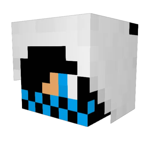 Rox7014 Minecraft avatar head, 3D render
