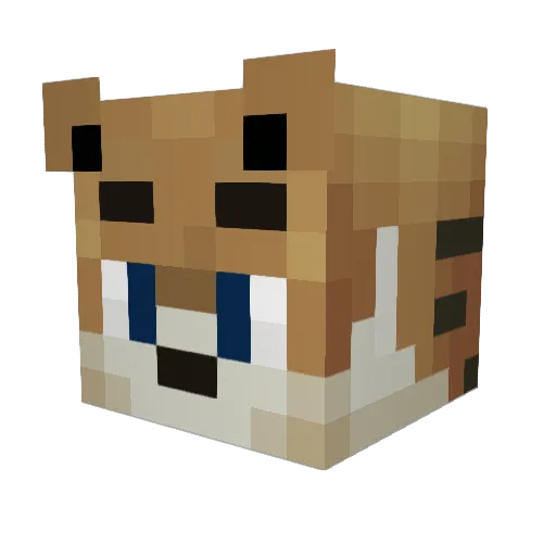Rox81 Minecraft avatar head, 3D render